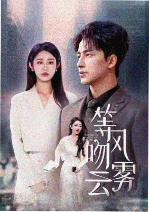 沉默的证词 刑侦剧在线免费观看